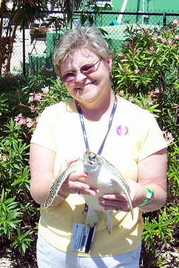 Turtle farm